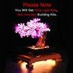 Lighting Kit Lego 10281 Building Blocks Model Not Include The Lego Set For Pink Cherry Blossom