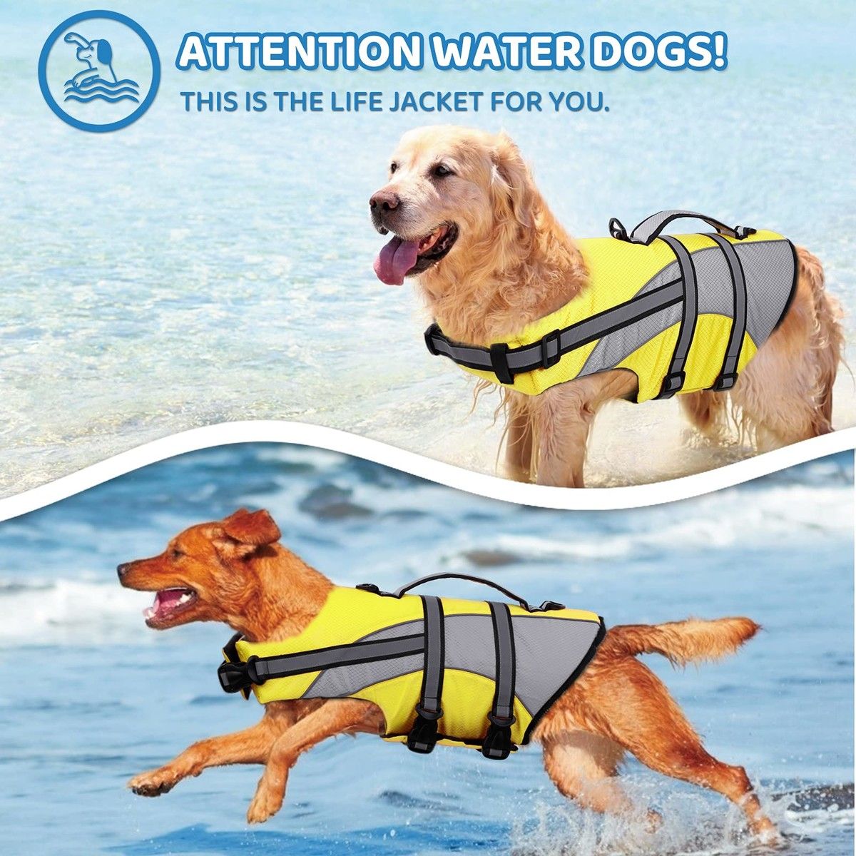 https://img.bestdeals.co.nz/products_pictures/374/37458_326799_F.jpg