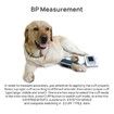 Veterinary Blood Pressure Monitor Dog/Cat/Pet Lamb Horse Electronic Sphygmomanometer With Software FDA cert.