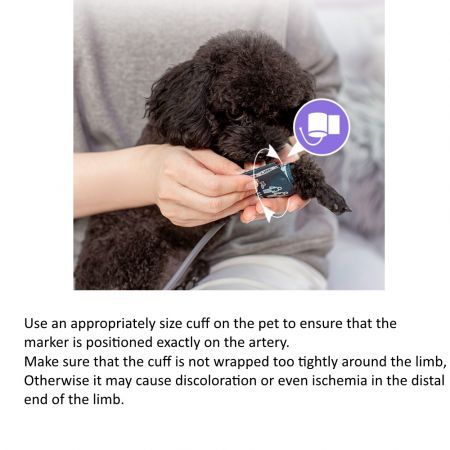 https://img.bestdeals.co.nz/products_pictures/375/37595_329548_F.jpg