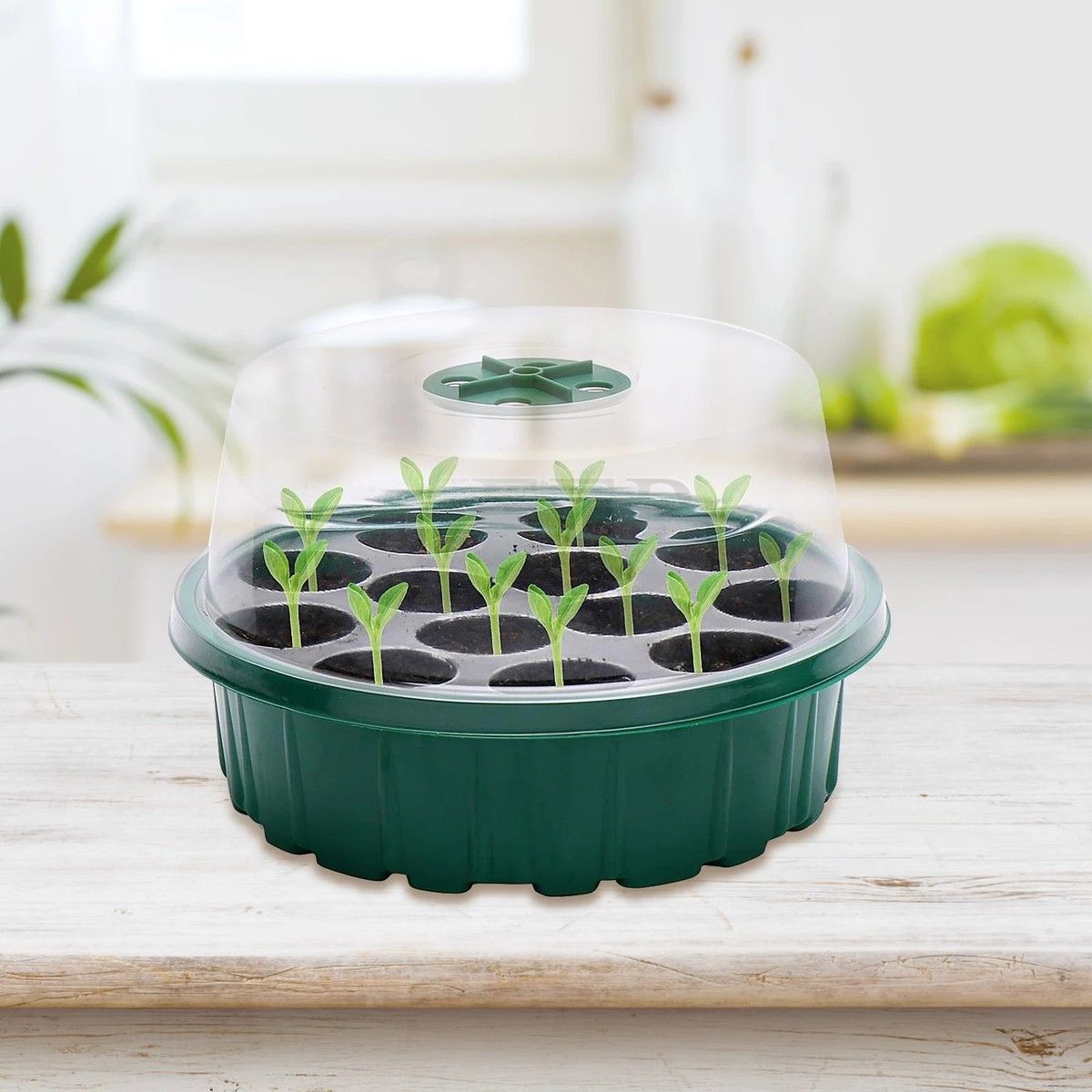 https://img.bestdeals.co.nz/products_pictures/376/37632_328849_F.jpg
