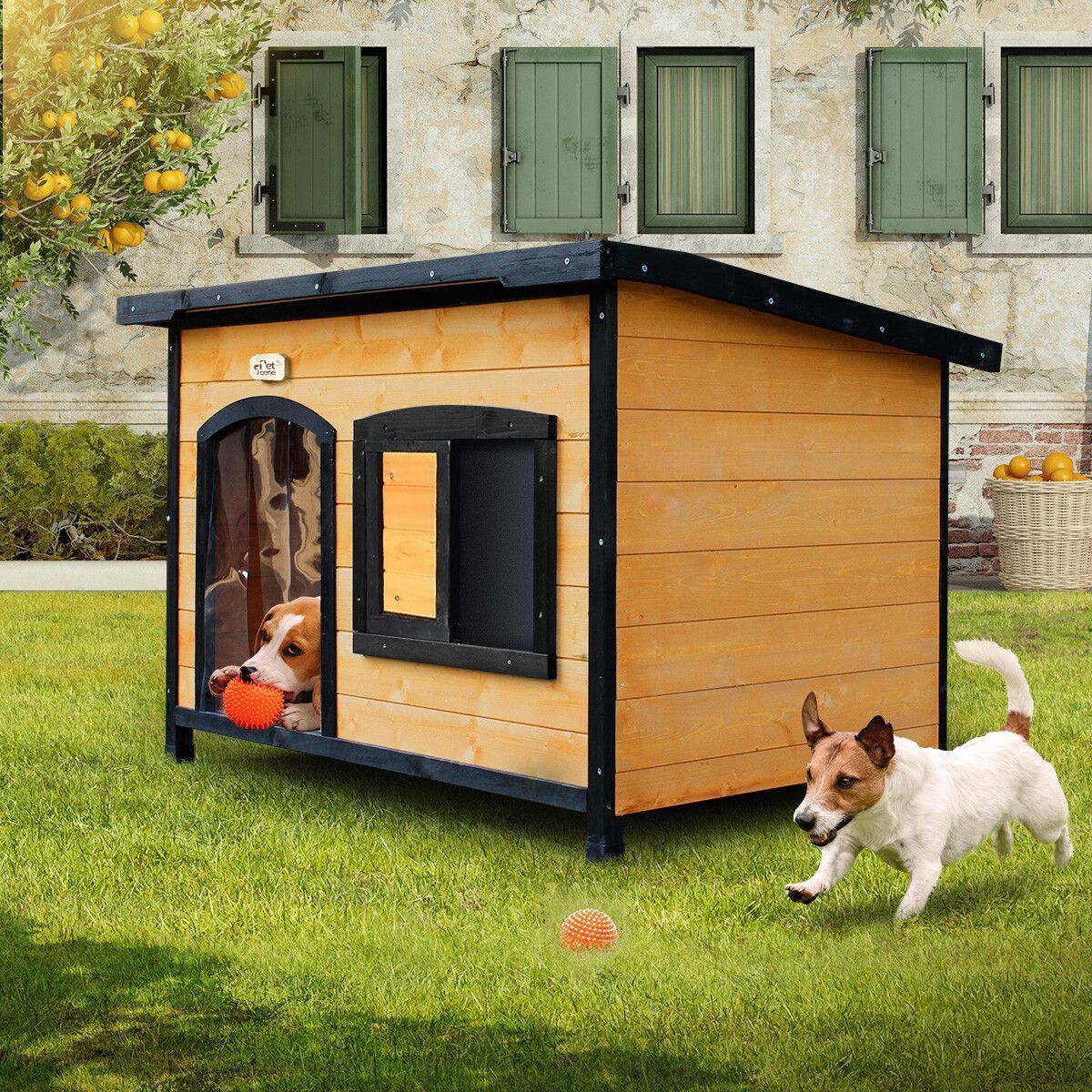 https://img.bestdeals.co.nz/products_pictures/378/37805_330568_F.jpg