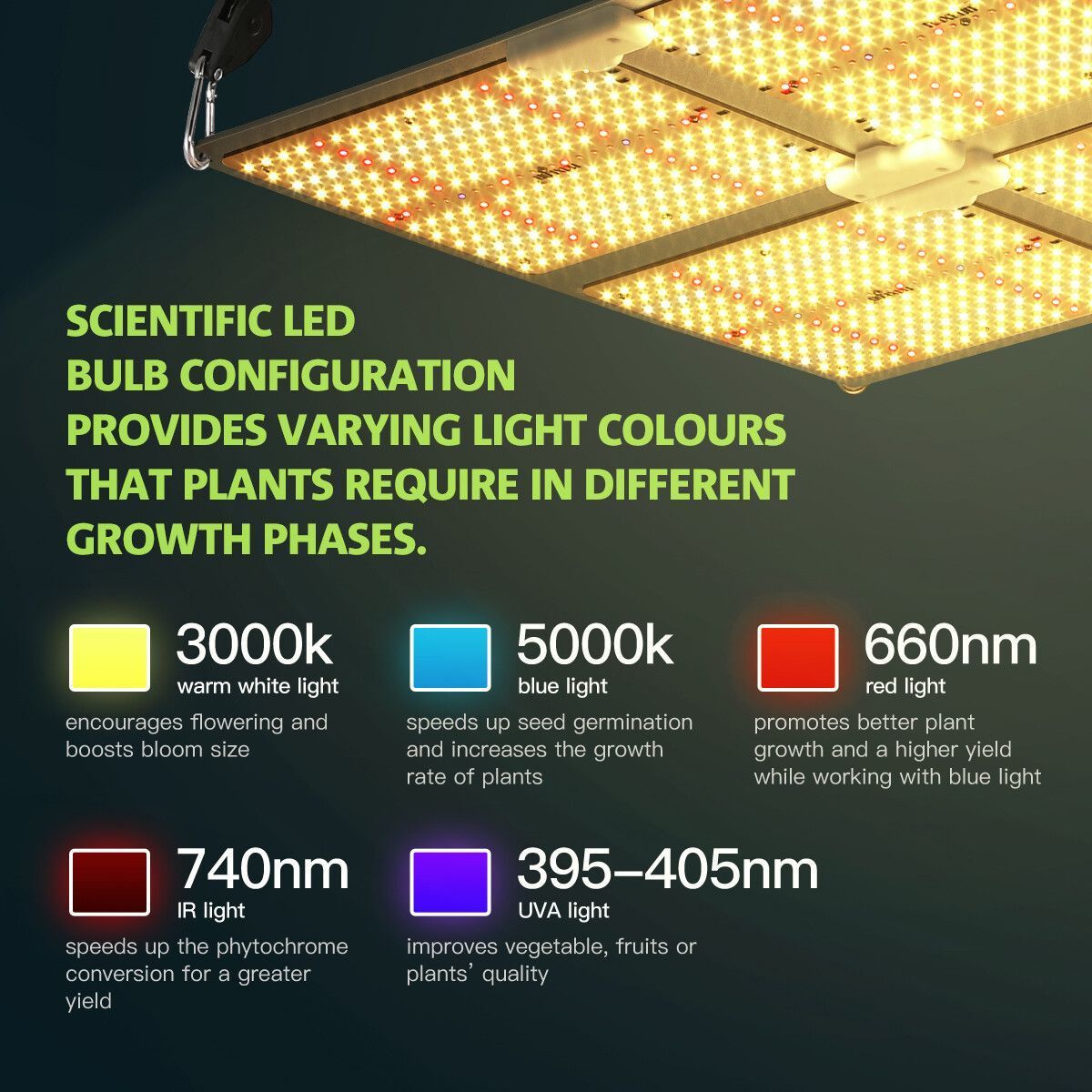 https://img.bestdeals.co.nz/products_pictures/380/38028_332628_F.jpg
