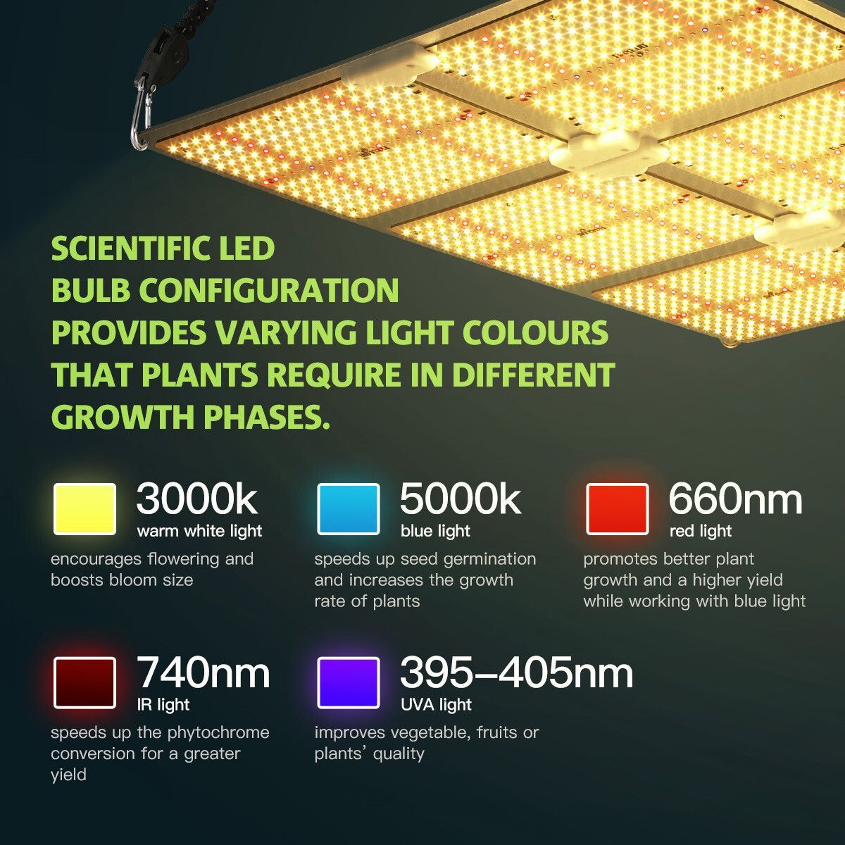 https://img.bestdeals.co.nz/products_pictures/380/38029_332640_F.jpg
