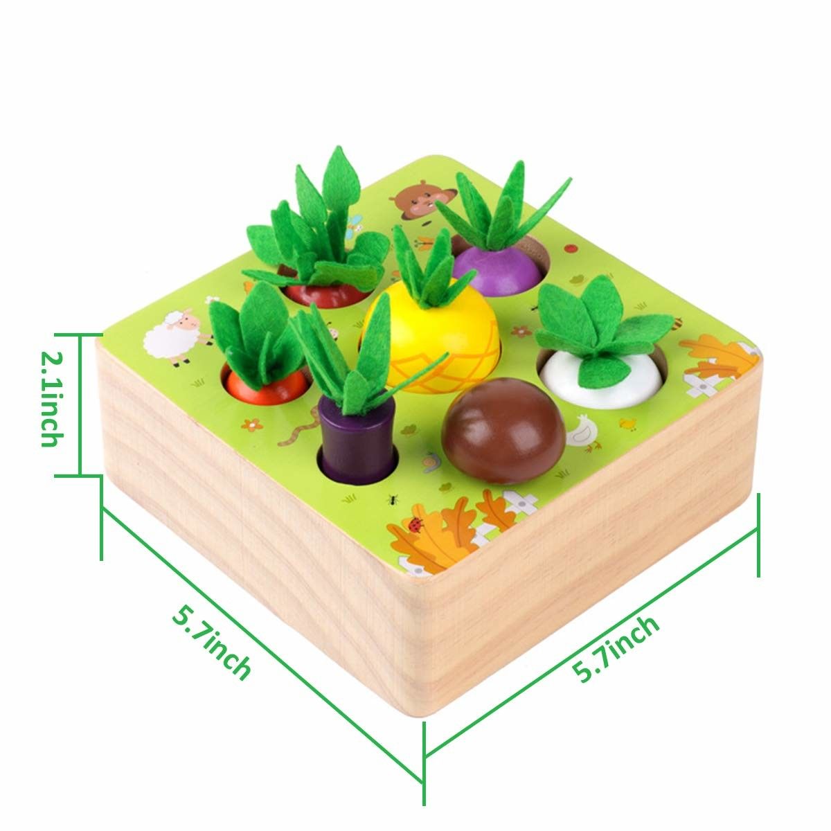 https://img.bestdeals.co.nz/products_pictures/380/38065_333232_F.jpg