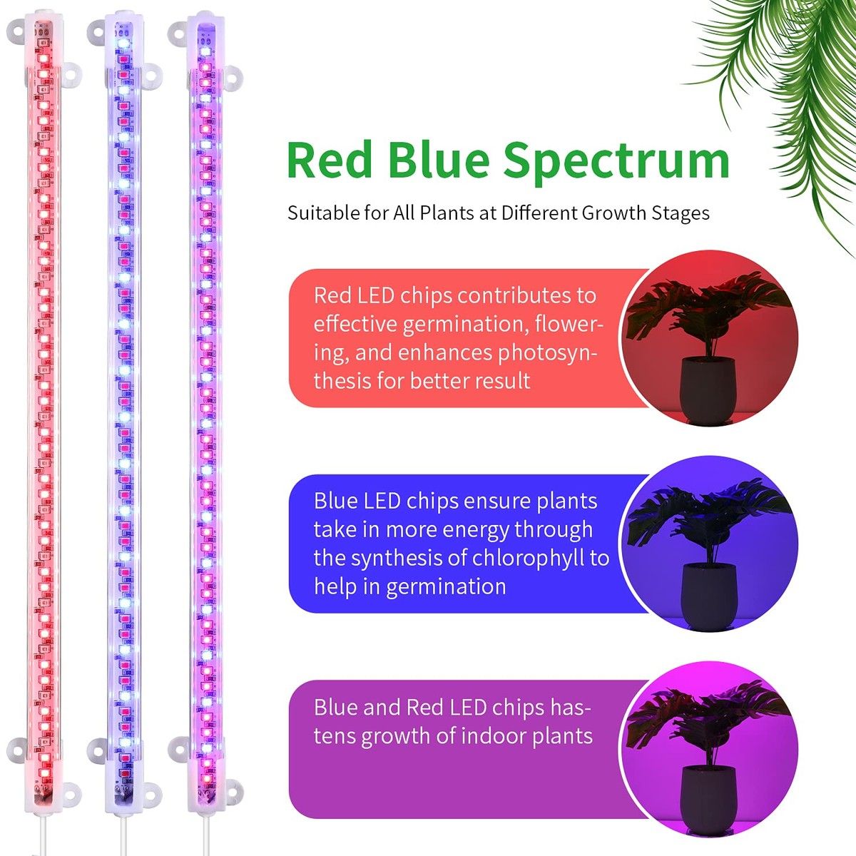 https://img.bestdeals.co.nz/products_pictures/382/38226_335016_F.jpg