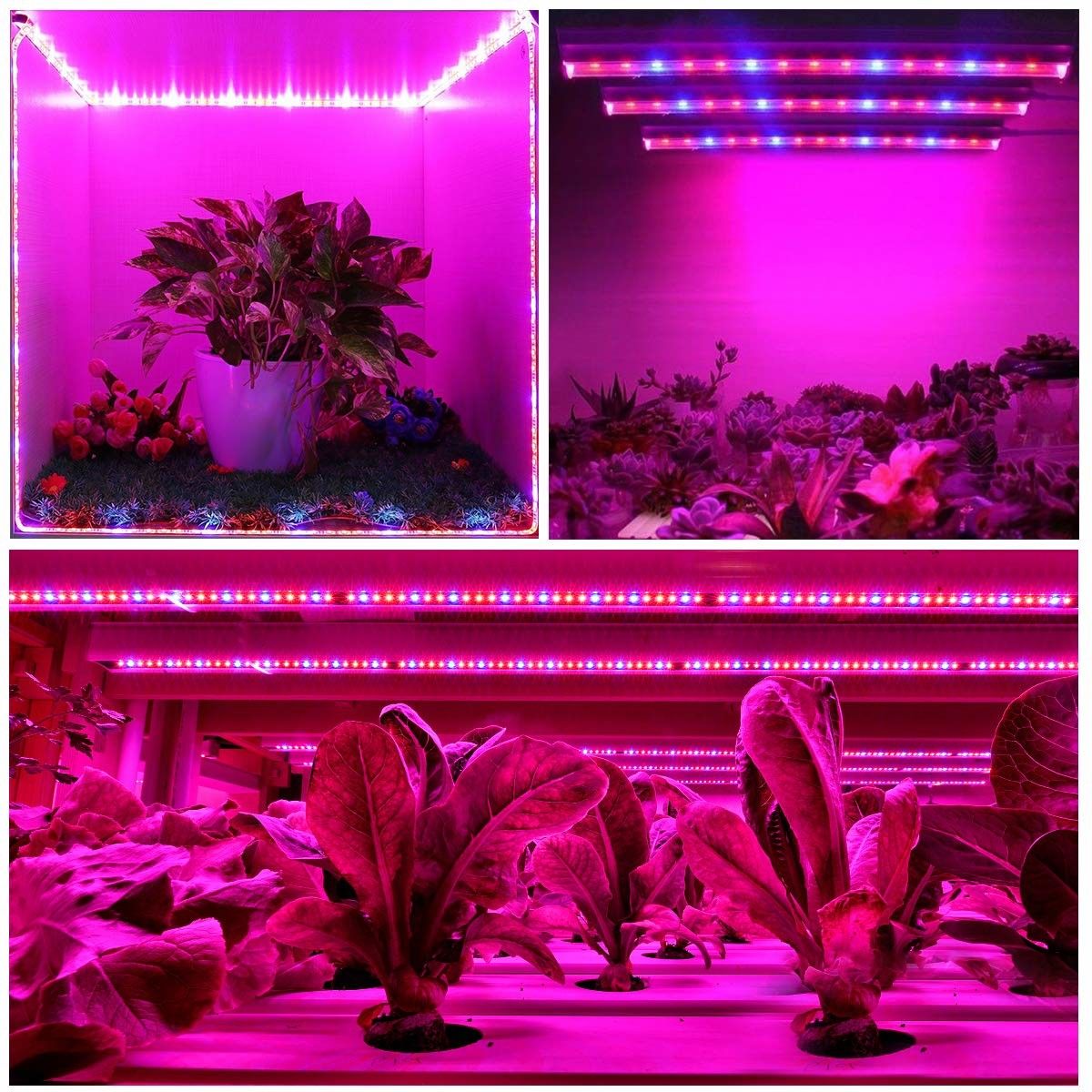 https://img.bestdeals.co.nz/products_pictures/382/38226_335018_F.jpg