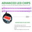 2 Strips Grow Light Four Heads Growing lamp Full Spectrum Dimmable Levels Led Plant Lamp with Red Blue Lights