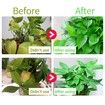4 Strips Grow Light Four Heads Growing lamp, Full Spectrum Dimmable Levels Led Warm Light for Green House Hydroponics Succulent