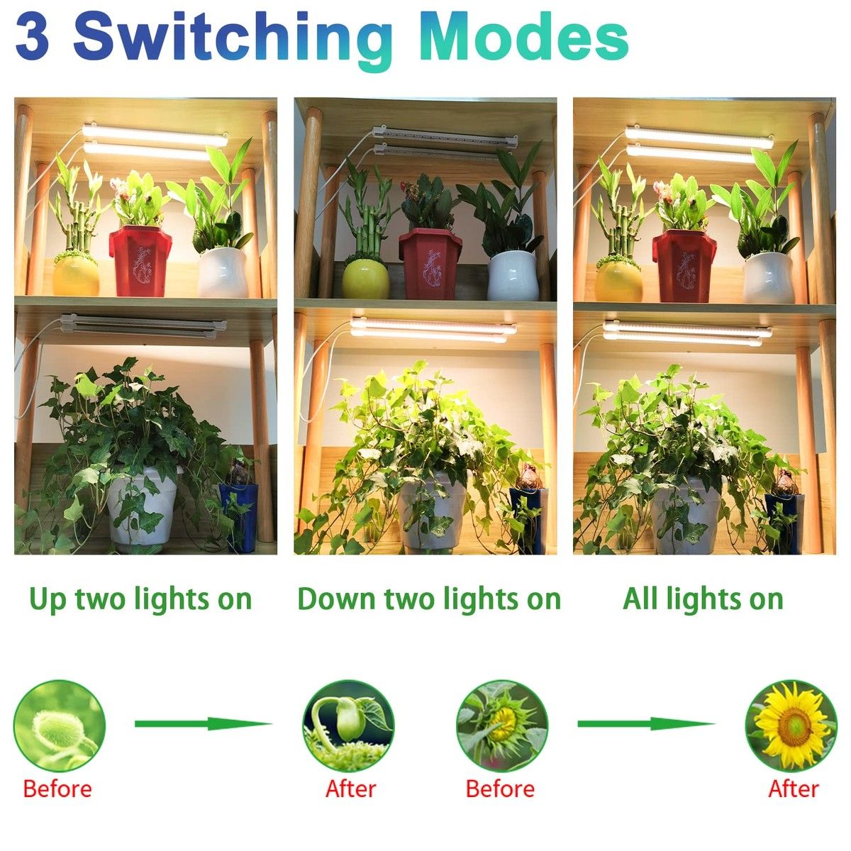 https://img.bestdeals.co.nz/products_pictures/382/38227_335035_F.jpg