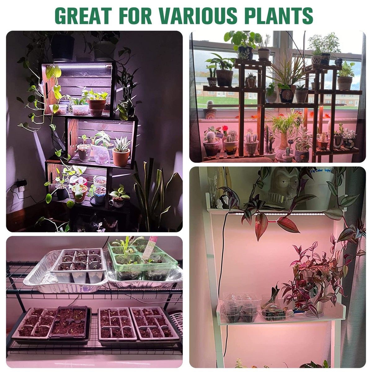 https://img.bestdeals.co.nz/products_pictures/382/38227_335036_F.jpg
