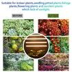 4 Strips Grow Light Four Heads Growing lamp, Full Spectrum Dimmable Levels Led Warm Light for Green House Hydroponics Succulent
