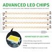 4 Strips Grow Light Four Heads Growing lamp, Full Spectrum Dimmable Levels Led Warm Light for Green House Hydroponics Succulent