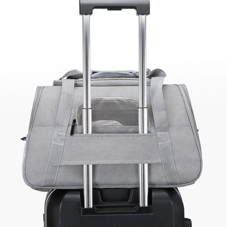 https://img.bestdeals.co.nz/products_pictures/382/38262_335427_F.jpg