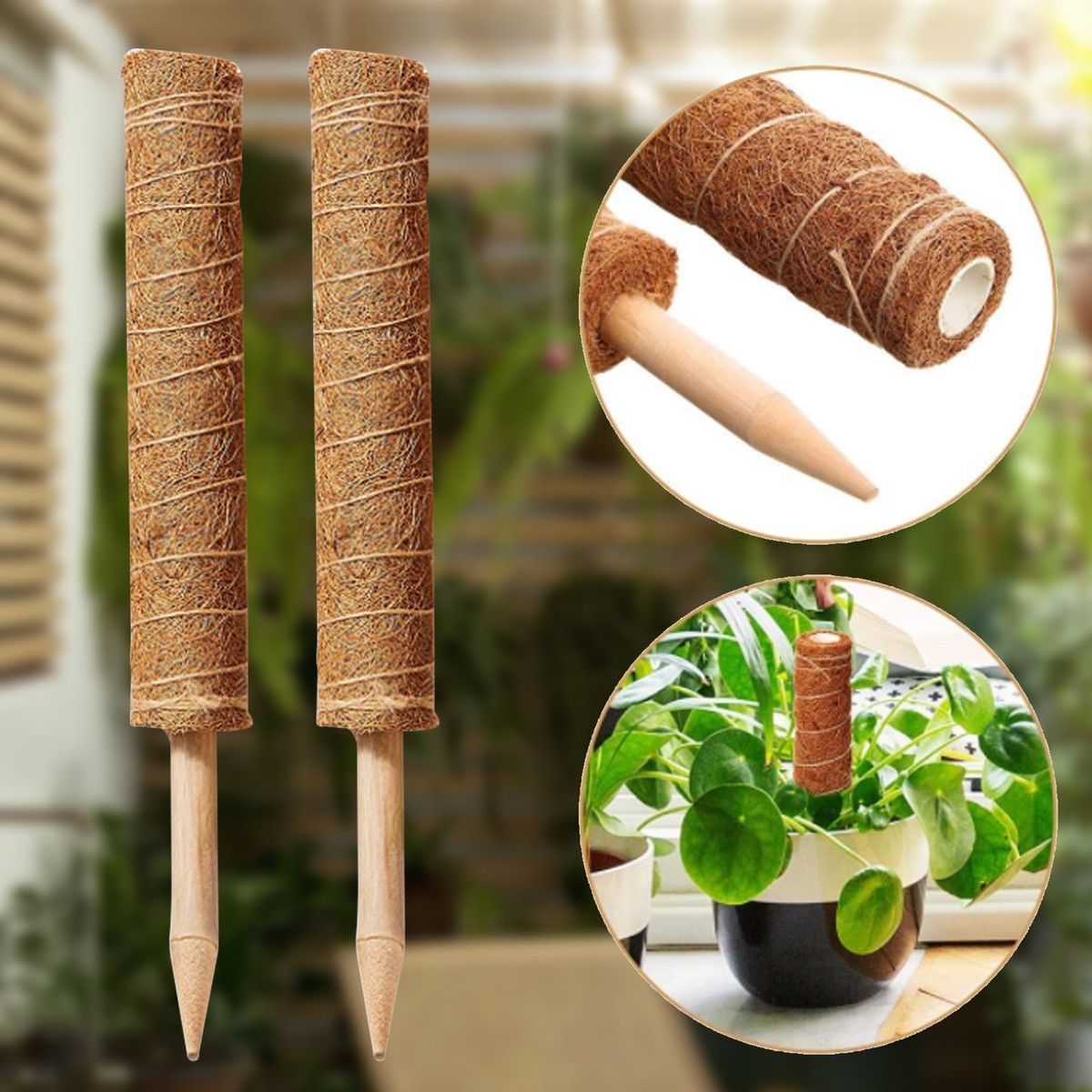 2x 30cm Plant Climbing Frame Climbing Column Set, Coconut Silk Column Rod Pile Frame Bamboo Moss Rod Winding Palm Column