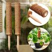 2x 30cm Plant Climbing Frame Climbing Column Set, Coconut Silk Column Rod Pile Frame Bamboo Moss Rod Winding Palm Column
