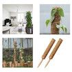 2x 30cm Plant Climbing Frame Climbing Column Set, Coconut Silk Column Rod Pile Frame Bamboo Moss Rod Winding Palm Column