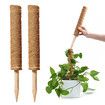 2x 30cm Plant Climbing Frame Climbing Column Set, Coconut Silk Column Rod Pile Frame Bamboo Moss Rod Winding Palm Column