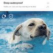 1000m Dog Training Collar Waterproof Pet Remote Control Collar With Shock Vibration Electric Sound Shocker Dog Products