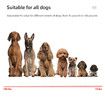 1000m Dog Training Collar Waterproof Pet Remote Control Collar With Shock Vibration Electric Sound Shocker Dog Products