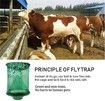 Ranch Fly Trap with Bait Tray, Reusable Fly Trap Fly Catcher Cage for Indoor or Outdoor (2Pack)