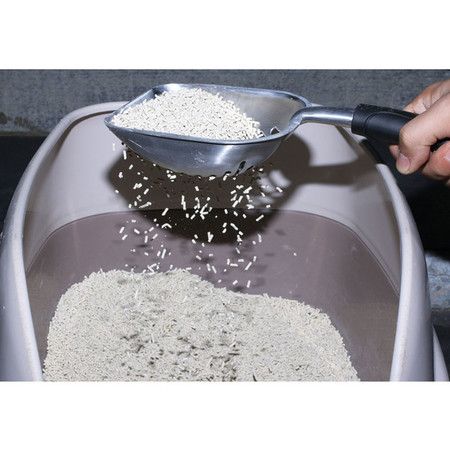 https://img.bestdeals.co.nz/products_pictures/383/38329_336114_F.jpg