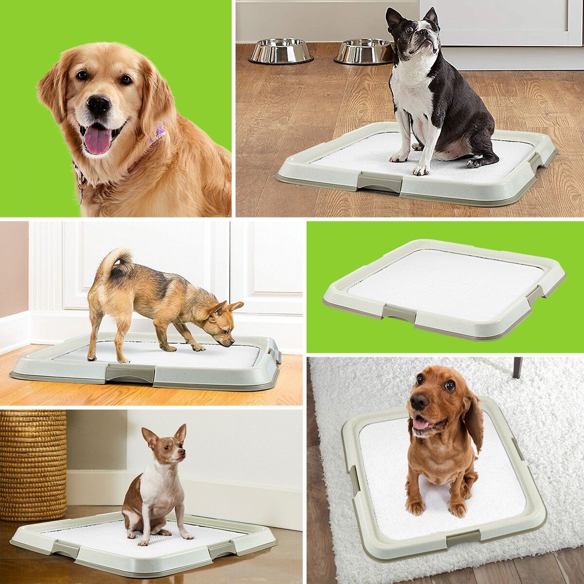 https://img.bestdeals.co.nz/products_pictures/383/38383_336752_F.jpg