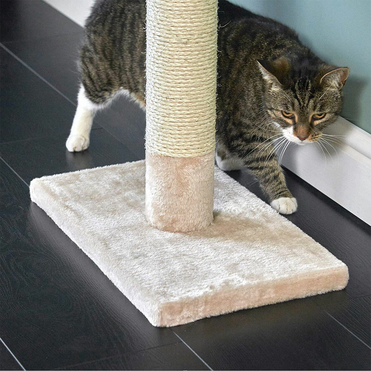 https://img.bestdeals.co.nz/products_pictures/383/38386_336800_F.jpg