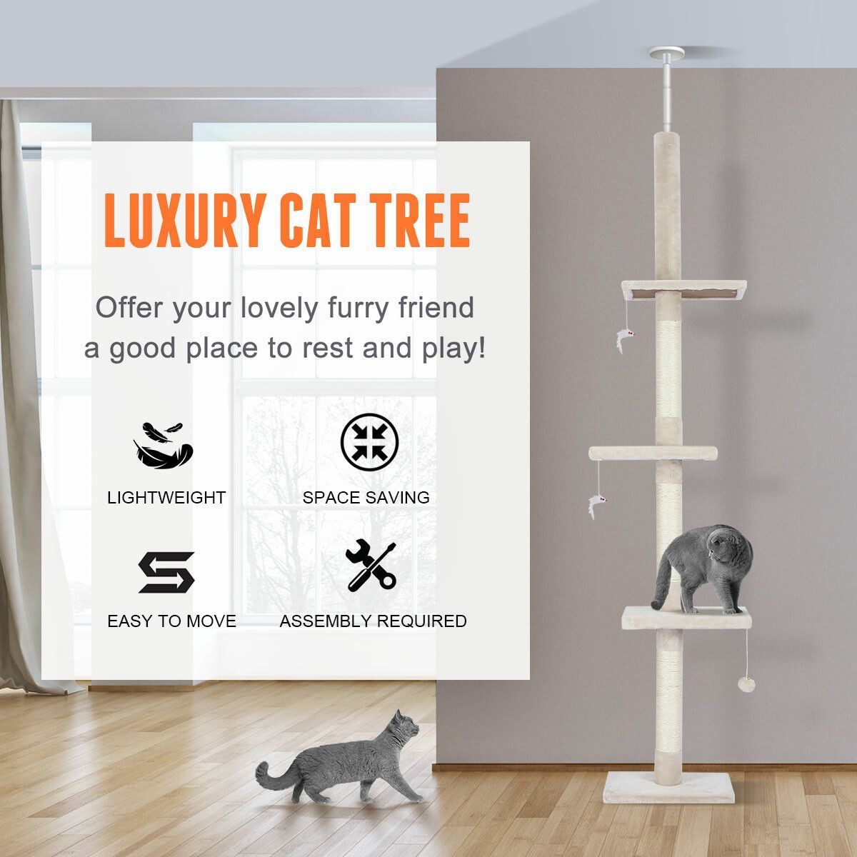 https://img.bestdeals.co.nz/products_pictures/383/38386_336805_F.jpg