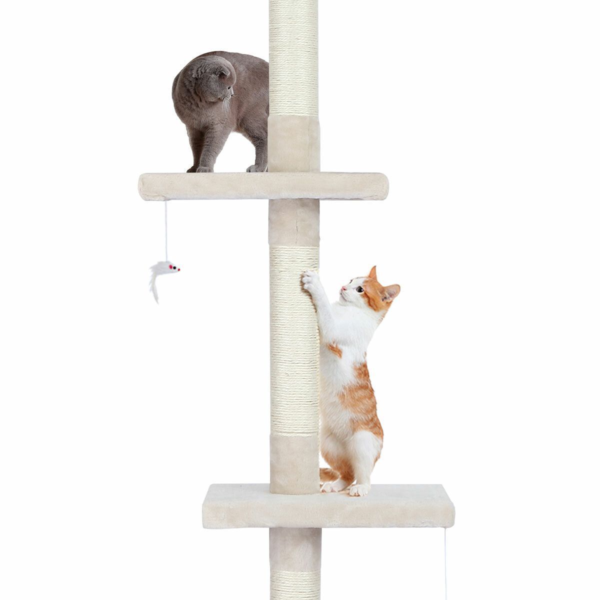 https://img.bestdeals.co.nz/products_pictures/383/38386_336807_F.jpg