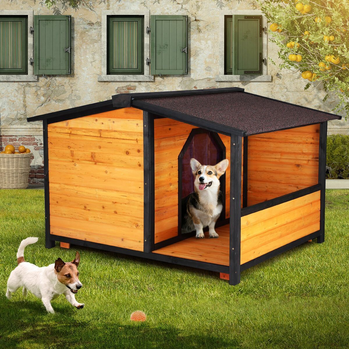 https://img.bestdeals.co.nz/products_pictures/384/38431_337341_F.jpg
