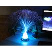 Multicolor LED Fiber-optic Light