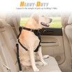 2Pcs Dog Leash Seat Belt ,Safety Lead with Swivel Clip and Adjustable Length for Pets,Seatbelt Harness for All Vehicles