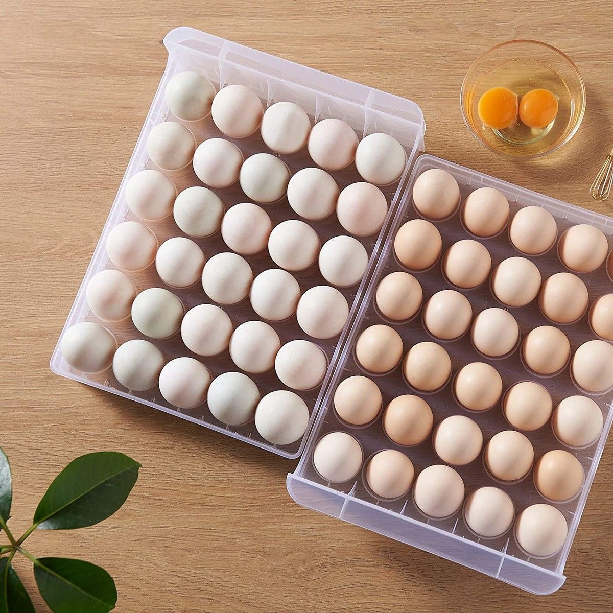 https://img.bestdeals.co.nz/products_pictures/388/38873_343138_F.jpg