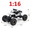 RC Monster Truck Car Off-Road Vehicle Remote Control Crawler