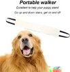 Portable Dog Sling for Back Legs, Dog Lift, Walking Pet Support Assist Tool For Dog (Gray)