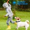 Dog Training Collar, Rechargeable Rainproof 300 Yards Remote Dog Training Collar with Beep