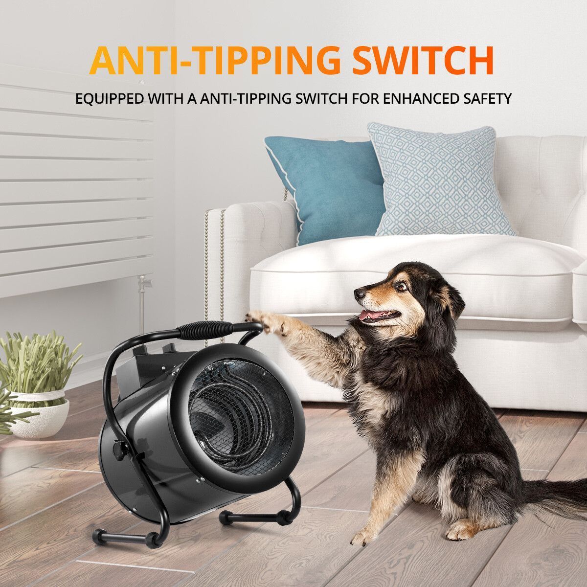 https://img.bestdeals.co.nz/products_pictures/390/39019_344329_F.jpg