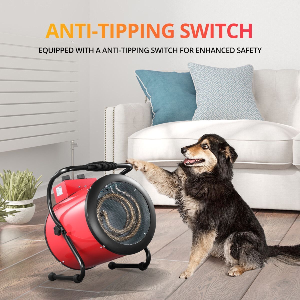 https://img.bestdeals.co.nz/products_pictures/390/39021_344354_F.jpg