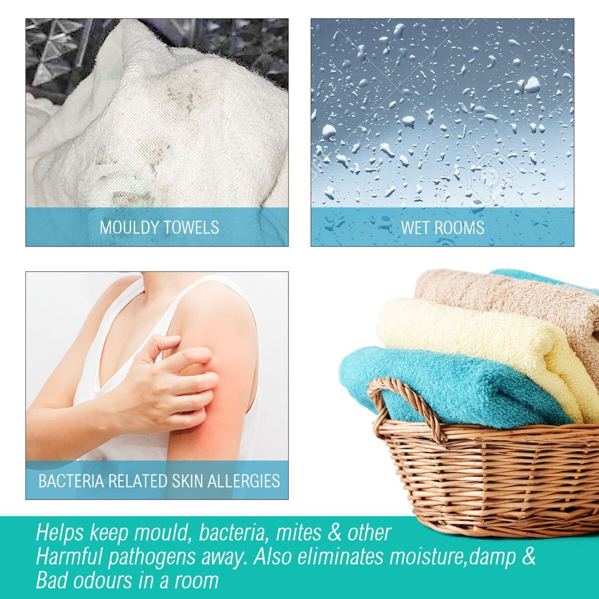 https://img.bestdeals.co.nz/products_pictures/390/39086_344954_F.jpg