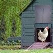 Light-sensitive automatic chicken house door (No Timer Function)