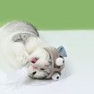 Cat Interactive Toys Kitten Fishing Headdres Hat Feathers Bait Fishing Head Copper Tease Pet Supplies