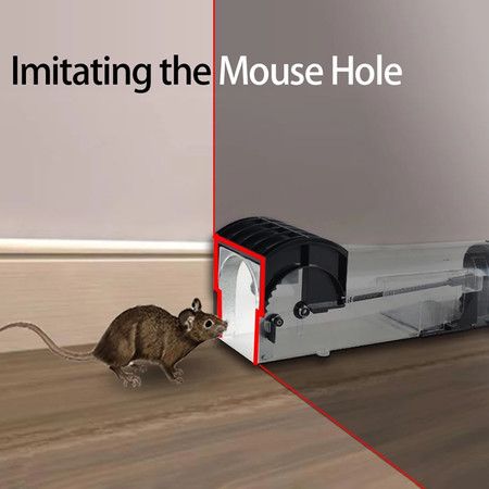 https://img.bestdeals.co.nz/products_pictures/391/39191_346263_F.jpg