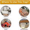5 Gallon Bucket Lid Mouse/Rat Trap Indoor/Outdoors Mouse Trap Automatically Reset Door Style, Rat Traps Outdoors Indoor House Chipmunk Trap, YELLOW