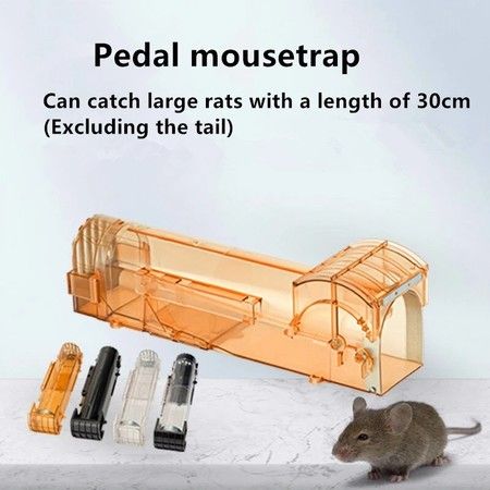 https://img.bestdeals.co.nz/products_pictures/391/39196_346323_F.jpg