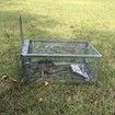 Humane Rat Trap, Chipmunk Rodent Trap That Work for Indoor and Outdoor