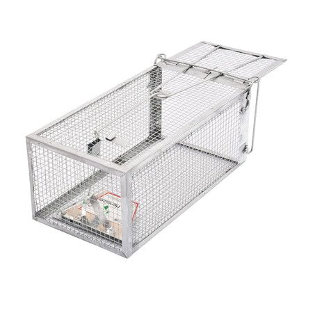 https://img.bestdeals.co.nz/products_pictures/391/39197_346331_F.jpg