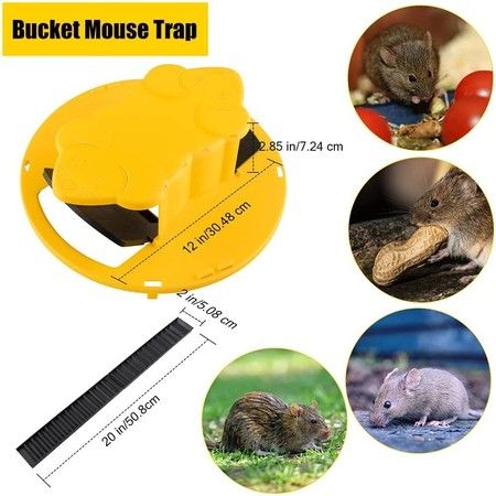 https://img.bestdeals.co.nz/products_pictures/391/39198_346337_F.jpg
