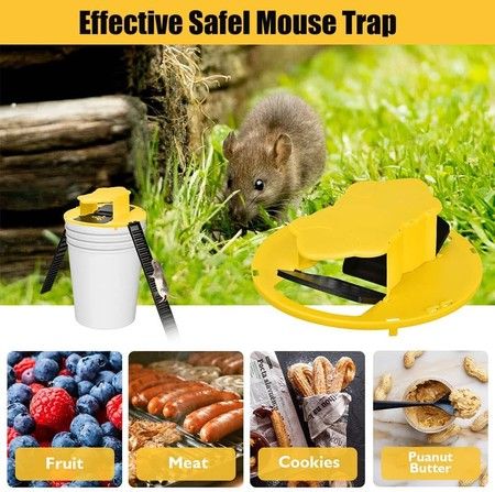 https://img.bestdeals.co.nz/products_pictures/391/39198_346340_F.jpg