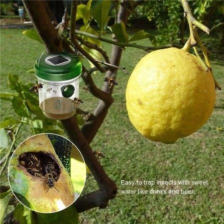 https://img.bestdeals.co.nz/products_pictures/392/39209_346449_F.jpg